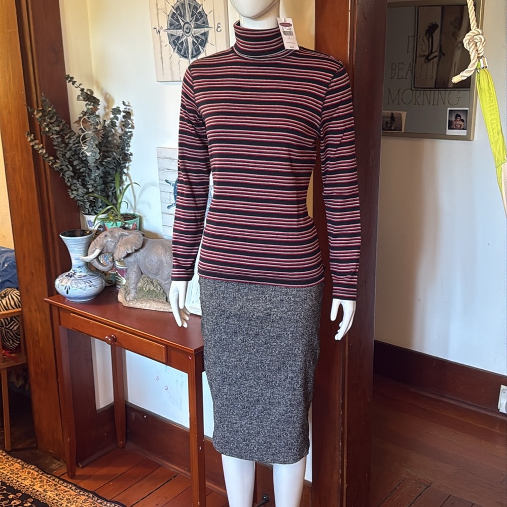 NWT northern reflections size small cotton Striped Turtleneck Long Sleeve Top